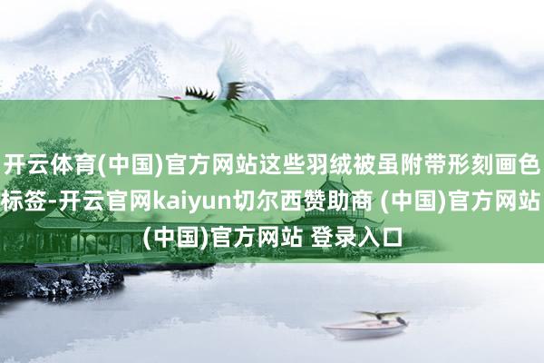 开云体育(中国)官方网站这些羽绒被虽附带形刻画色的吊牌与标签-开云官网kaiyun切尔西赞助商 (中国)官方网站 登录入口