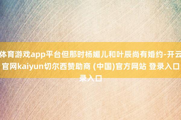 体育游戏app平台但那时杨媚儿和叶辰尚有婚约-开云官网kaiyun切尔西赞助商 (中国)官方网站 登录入口